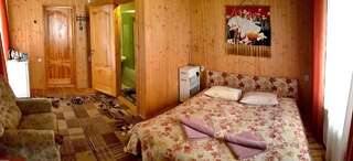 Отель Perlyna Podillyа Сатанов Двухместный номер с 1 кроватью или 2 отдельными кроватями-3