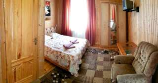 Отель Perlyna Podillyа Сатанов Двухместный номер с 1 кроватью или 2 отдельными кроватями-4